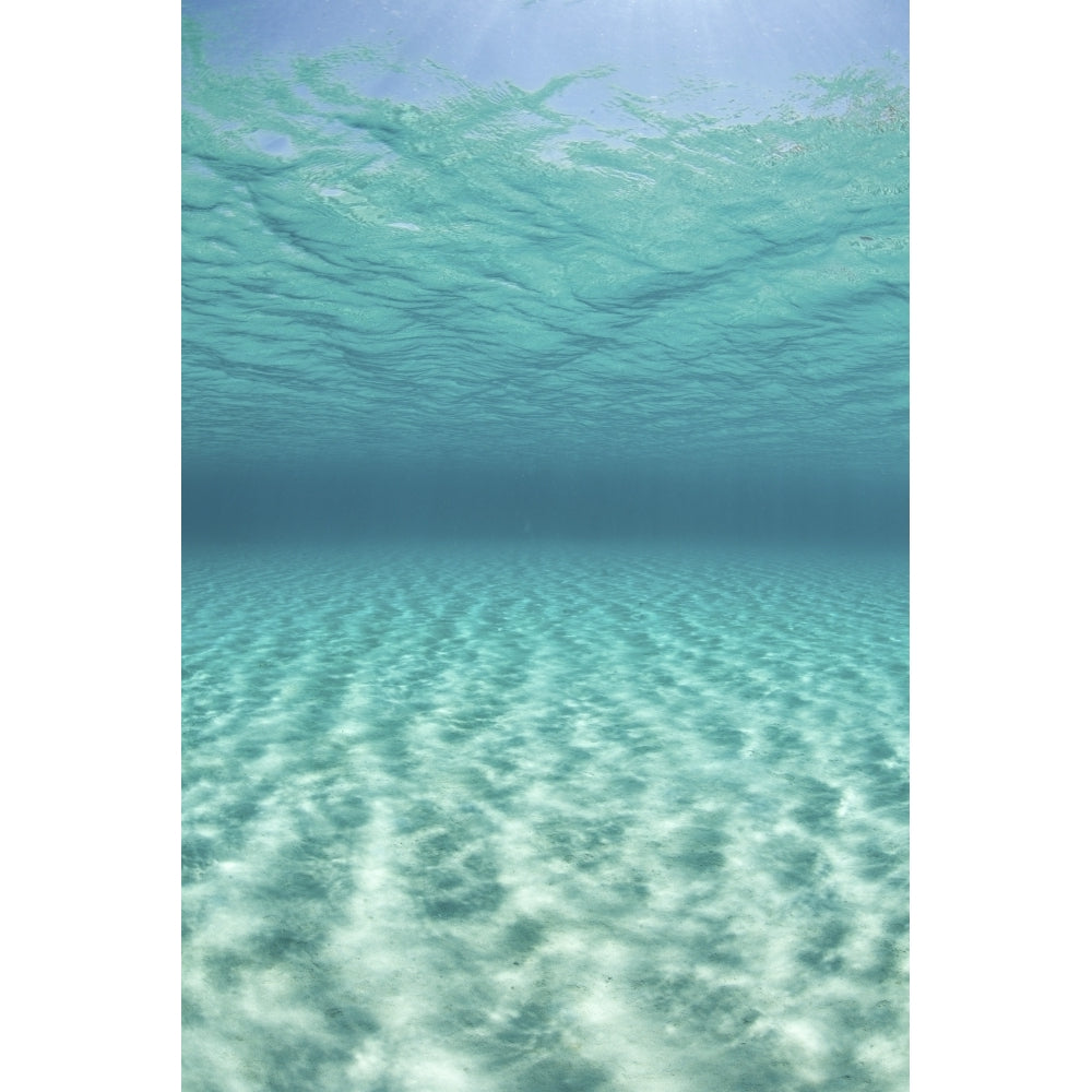 Bright sunlight ripples across a seafloor in the tropical Pacific Ocean Poster Print Image 2