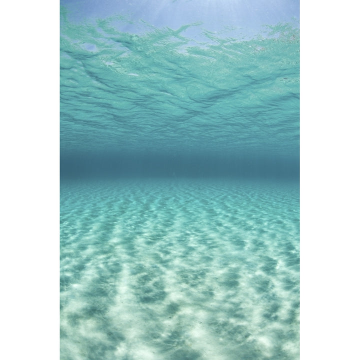 Bright sunlight ripples across a seafloor in the tropical Pacific Ocean Poster Print Image 2