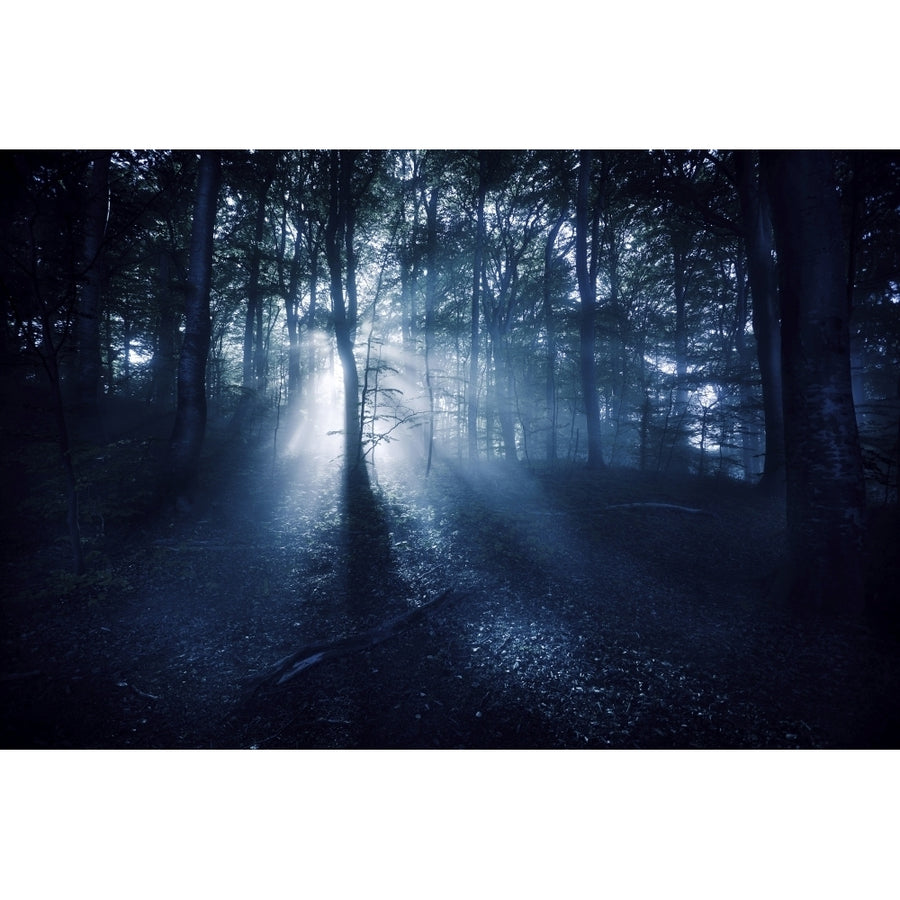 Misty rays in a dark forest Liselund Slotspark Denmark. Poster Print Image 1