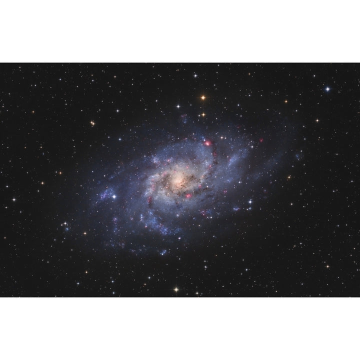 Messier 33 the Triangulum Galaxy Poster Print Image 1