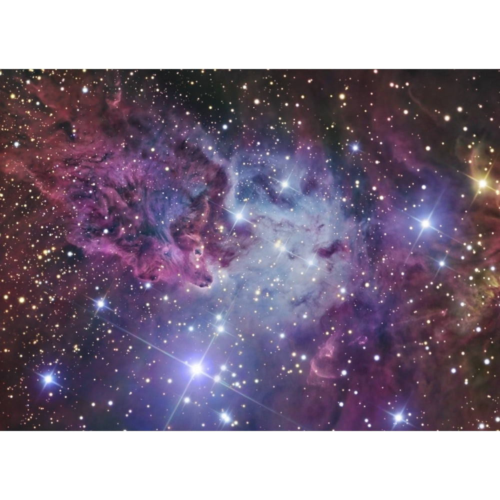 The Fox faux Nebula Poster Print Image 2