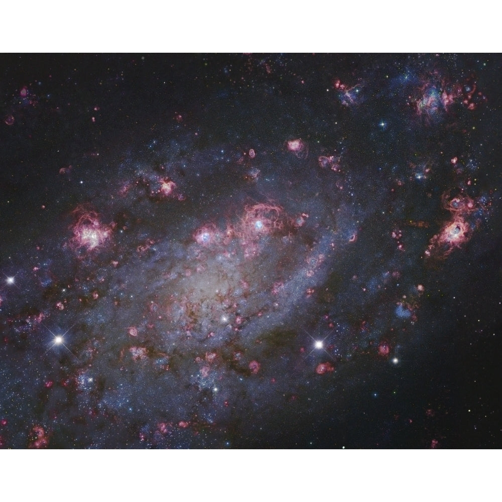 NGC 2403 a spiral galaxy in Camelopardalis Poster Print Image 1