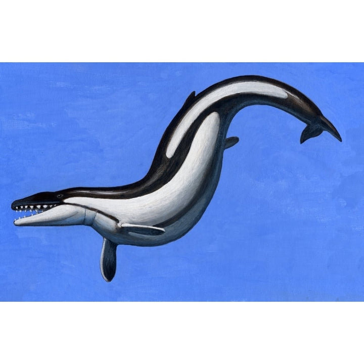 Basilosaurus a marine mammal that lived in the Late Eocene epoch Poster Print Image 1