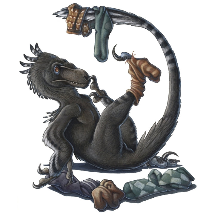 A playful Deinonychus dinosaur playing with socks Poster Print Image 2