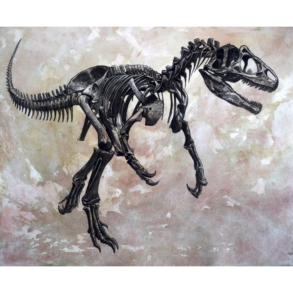 Allosaurus dinosaur skeleton Poster Print Image 2