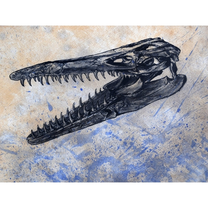 Mosasaurus dinosaur skull Poster Print Image 1