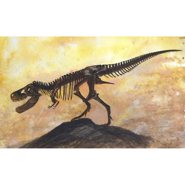 Tyrannosaurus rex dinosaur skeleton Poster Print Image 2