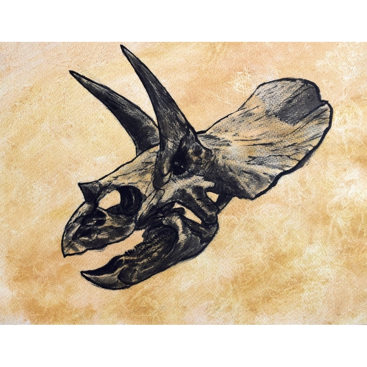 Triceratops dinosaur skull Poster Print Image 1