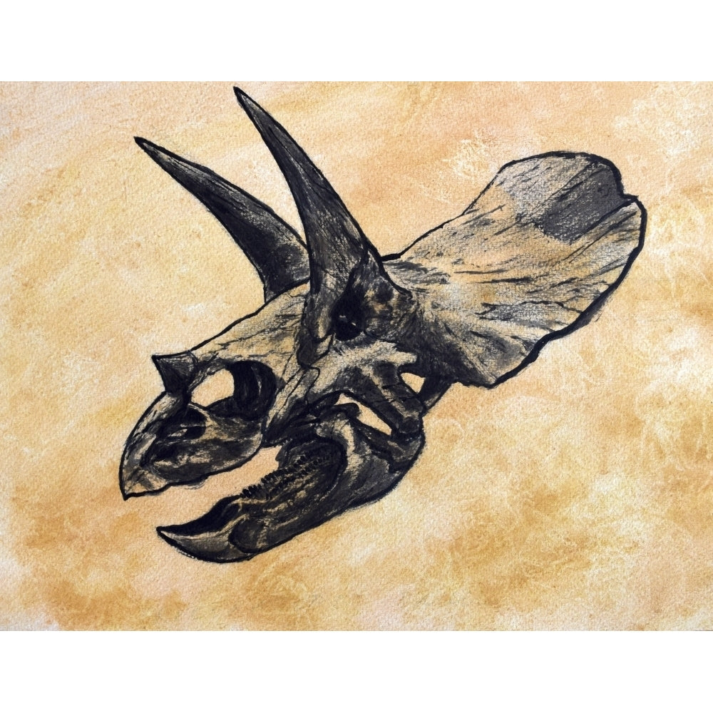 Triceratops dinosaur skull Poster Print Image 2