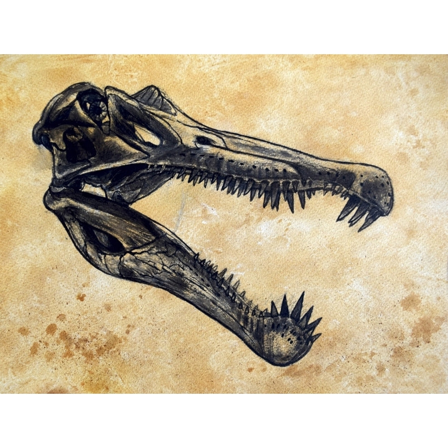 Spinosaurus dinosaur skull Poster Print Image 1