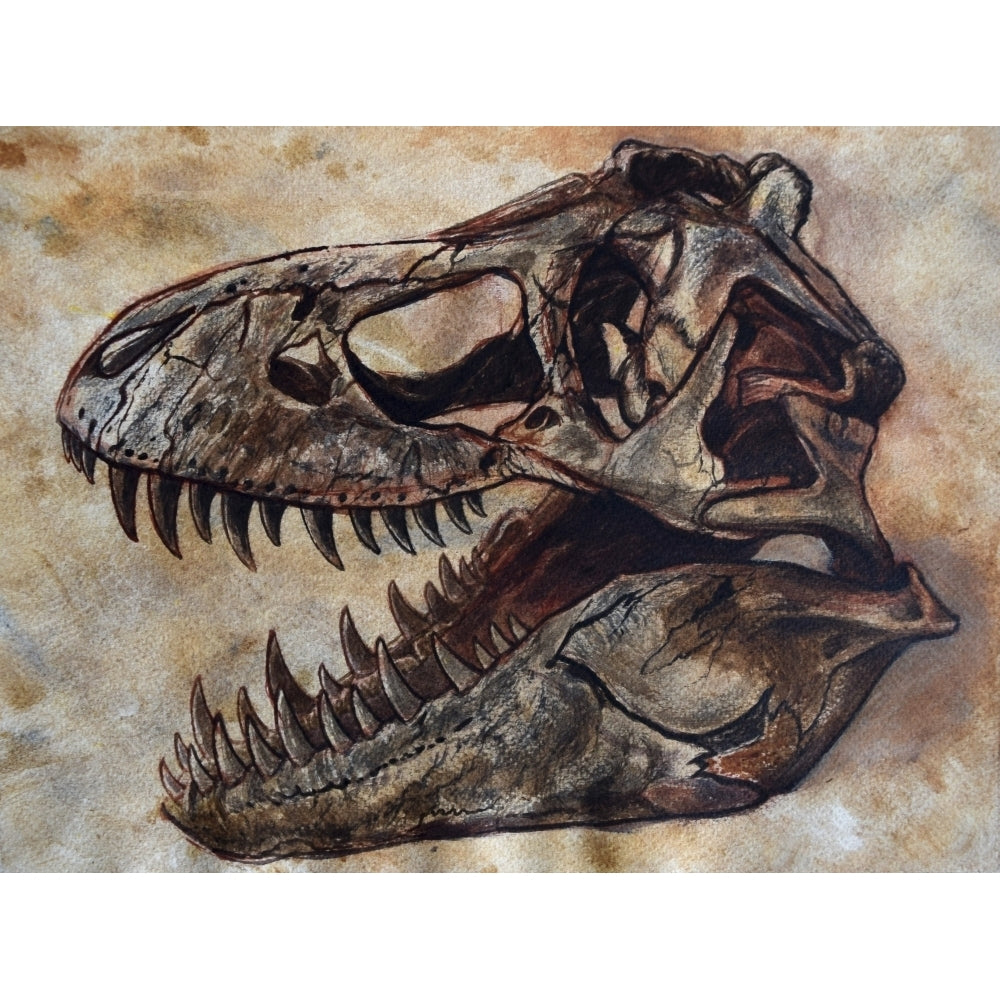 Tyrannosaurus rex dinosaur skull Poster Print Image 2