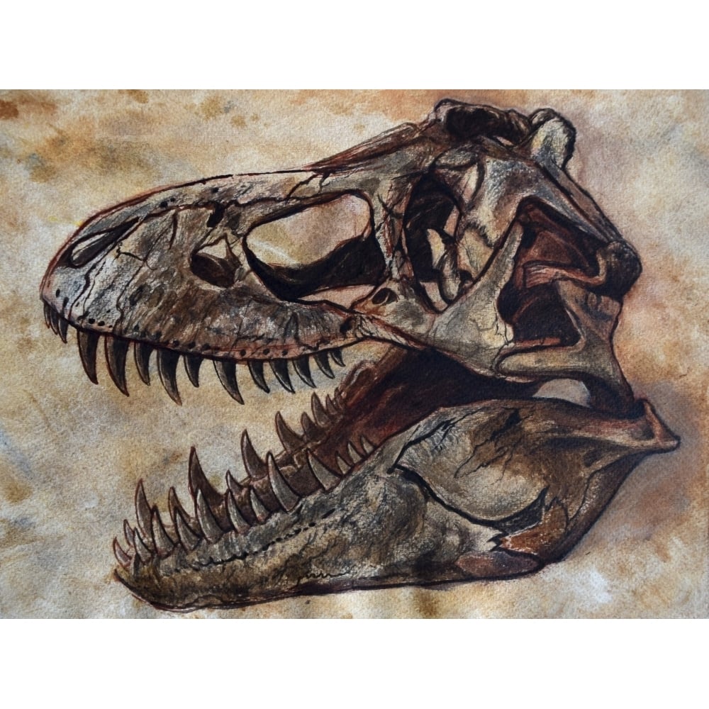 Tyrannosaurus rex dinosaur skull Poster Print Image 1