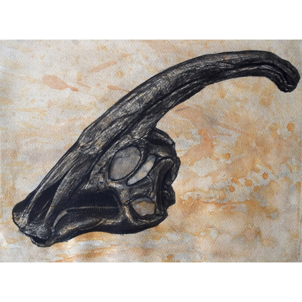 Parasaurolophus walkerii dinosaur skull Poster Print Image 2