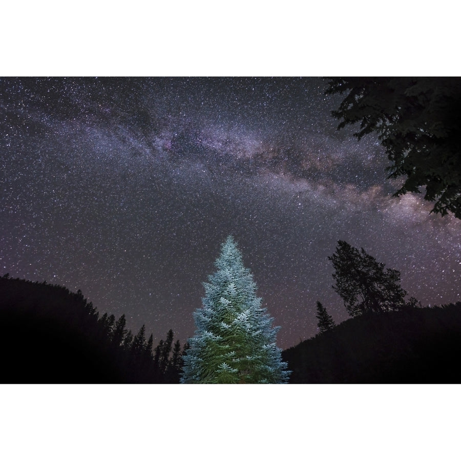 A lone lit pine tree glows under the arch of the Milky Way Poster Print Image 1