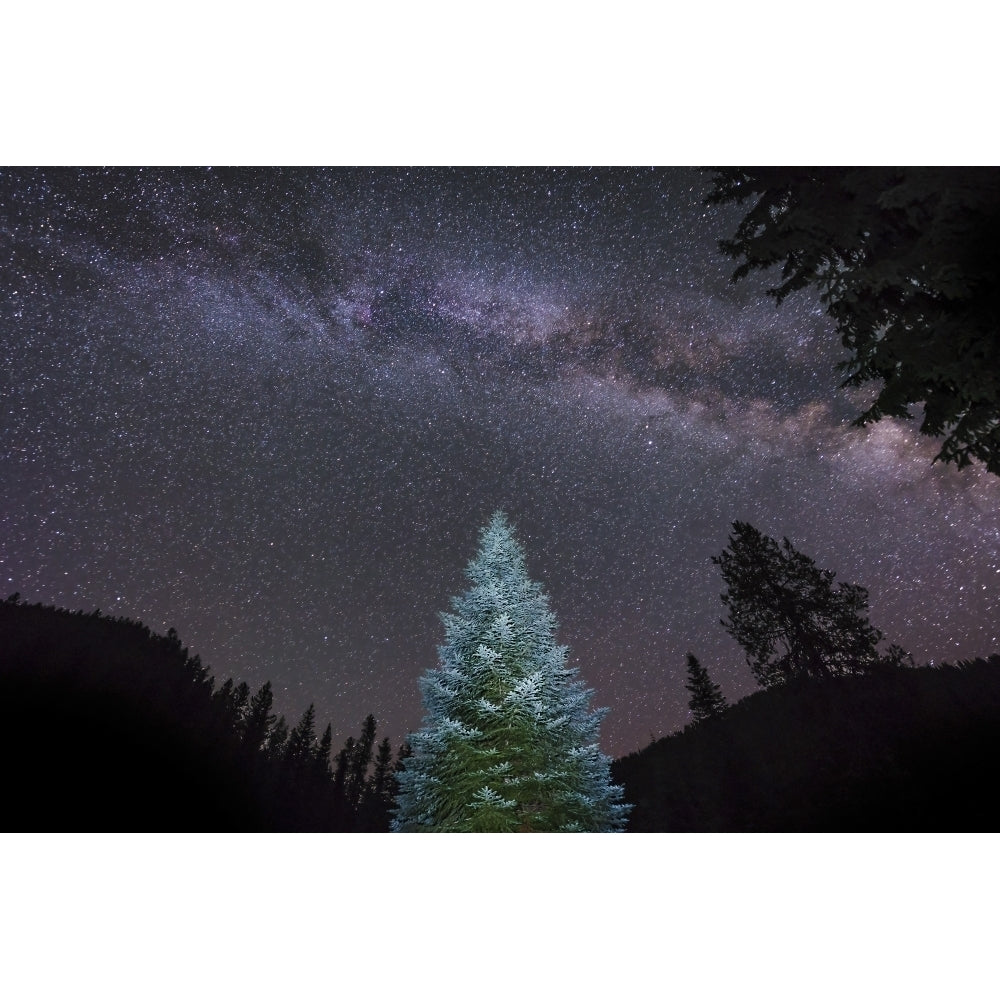 A lone lit pine tree glows under the arch of the Milky Way Poster Print Image 2