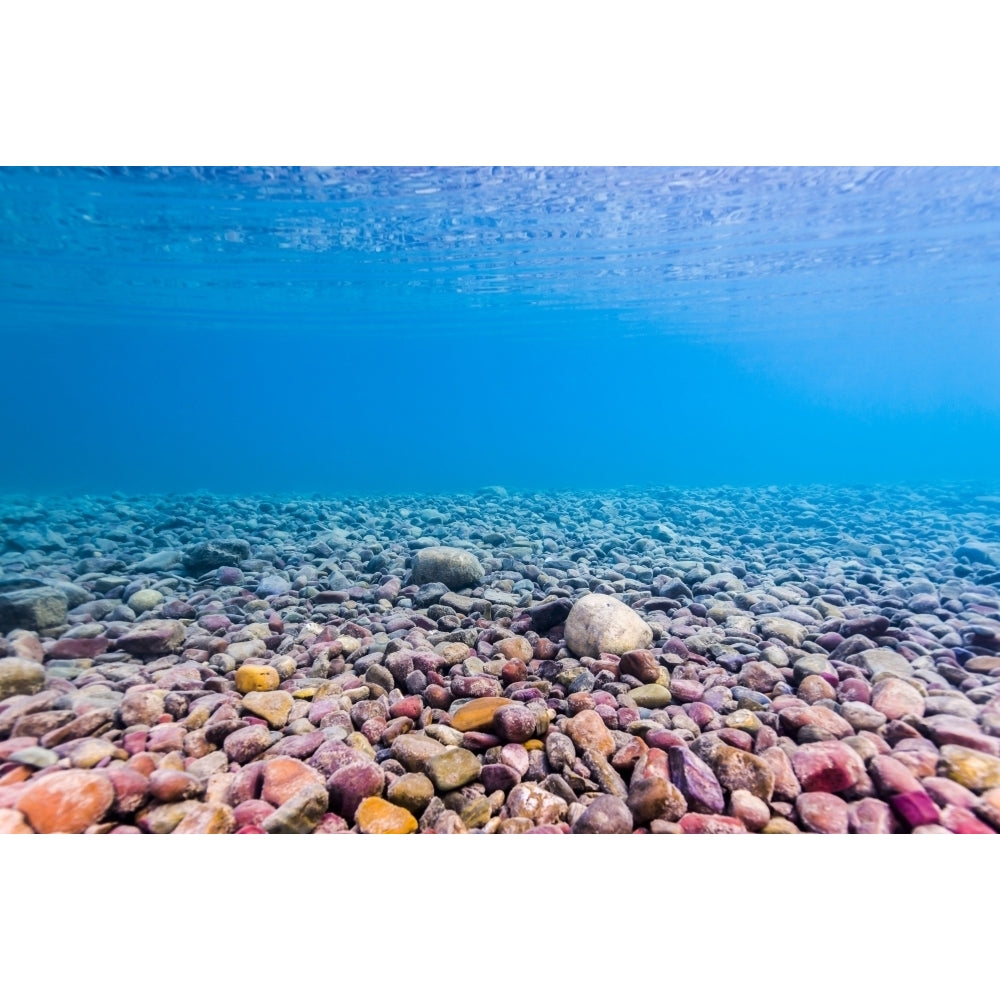 Shoreline of Lake McDonald Glacier National Park Montana Poster Print by Jennifer Idol/Stocktrek Images Image 2