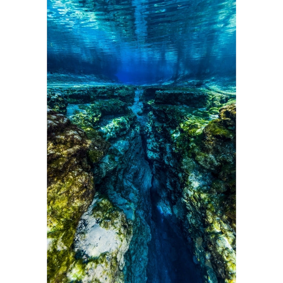 Ginnie Springs in Florida Poster Print by Jennifer Idol/Stocktrek Images Image 1