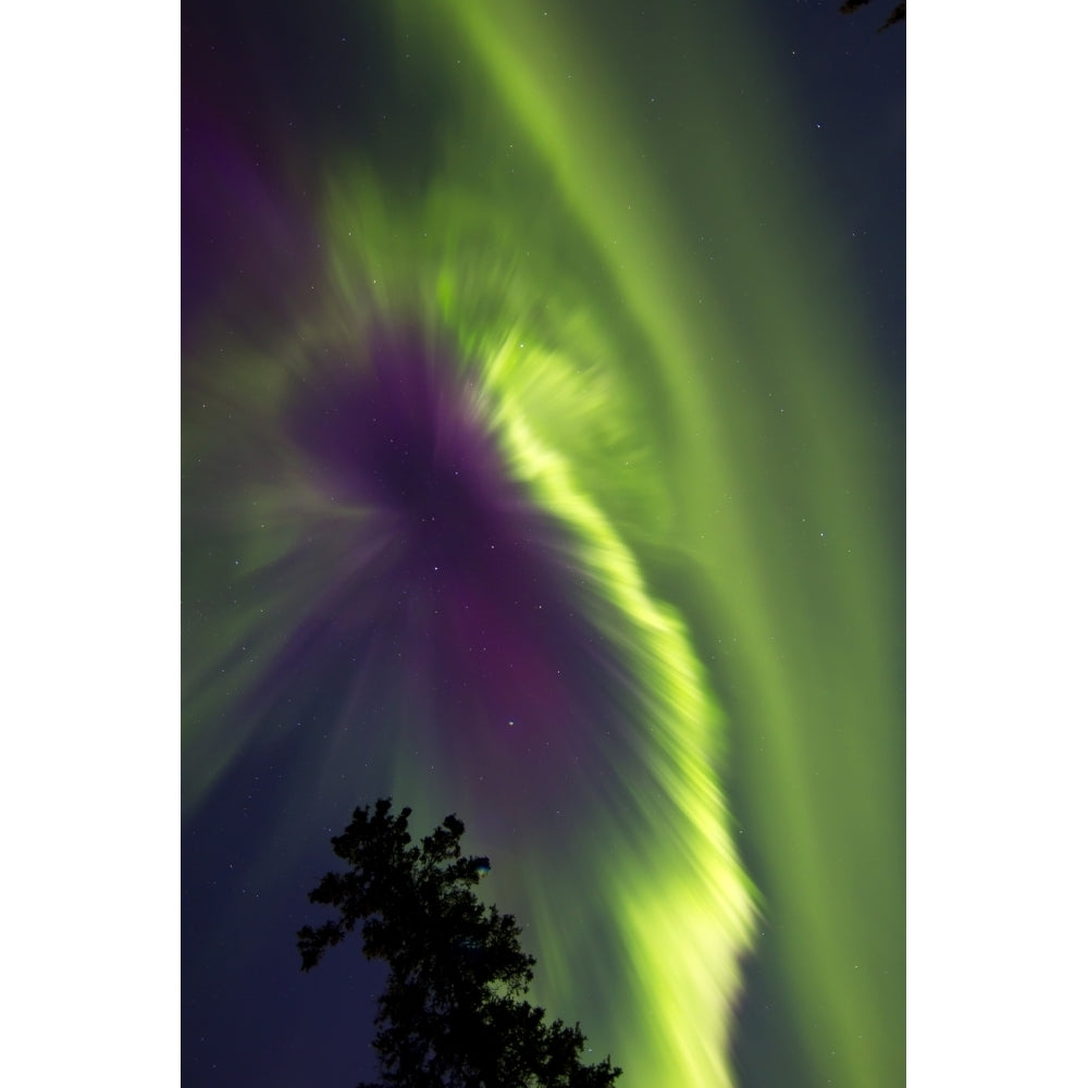 Aurora borealis Whitehorse Yukon Canada Poster Print Image 1