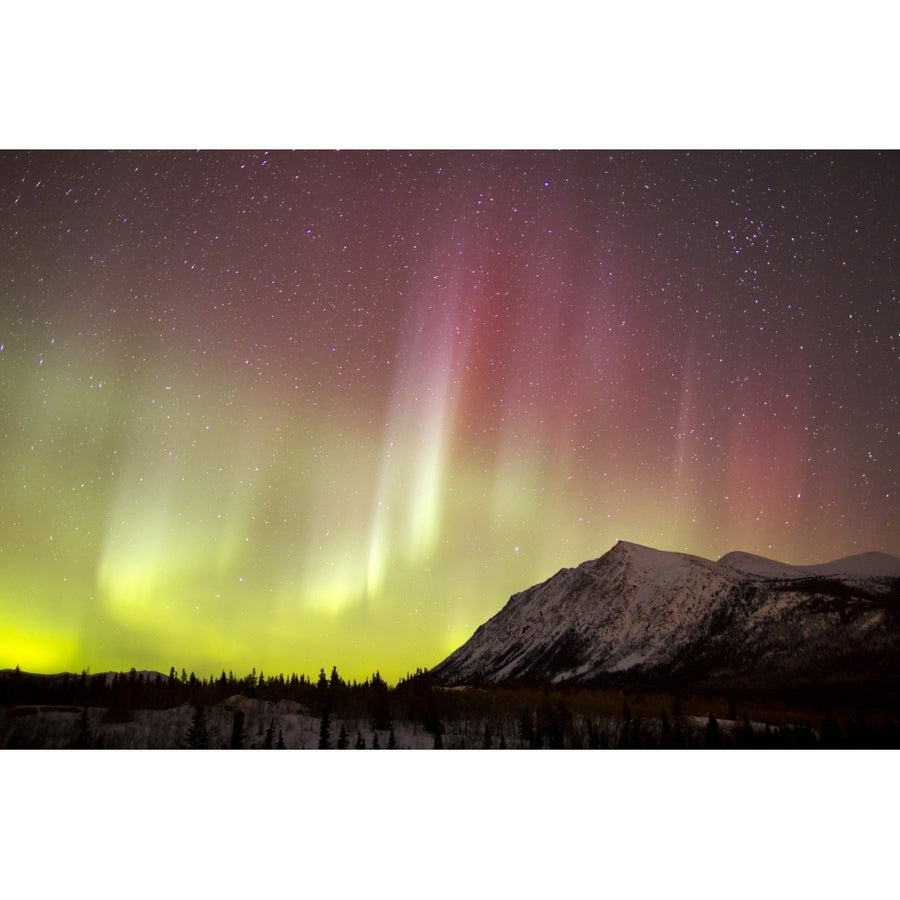 Red aurora borealis over Carcross Desert Canada Poster Print Image 1