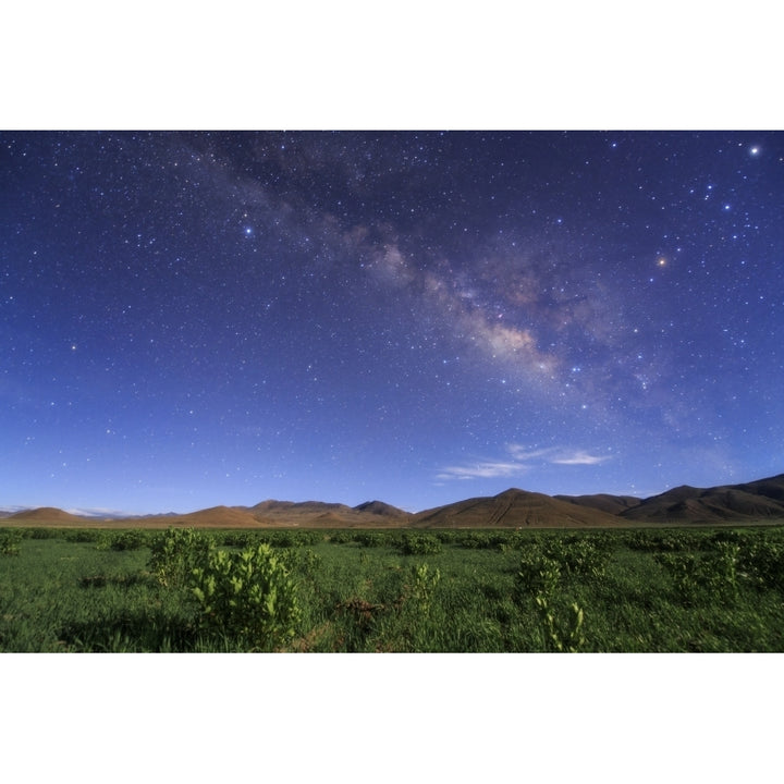 The Milky Way over a field of hulless barley in Tibet China. Poster Print by Jeff Dai/Stocktrek Images Image 1