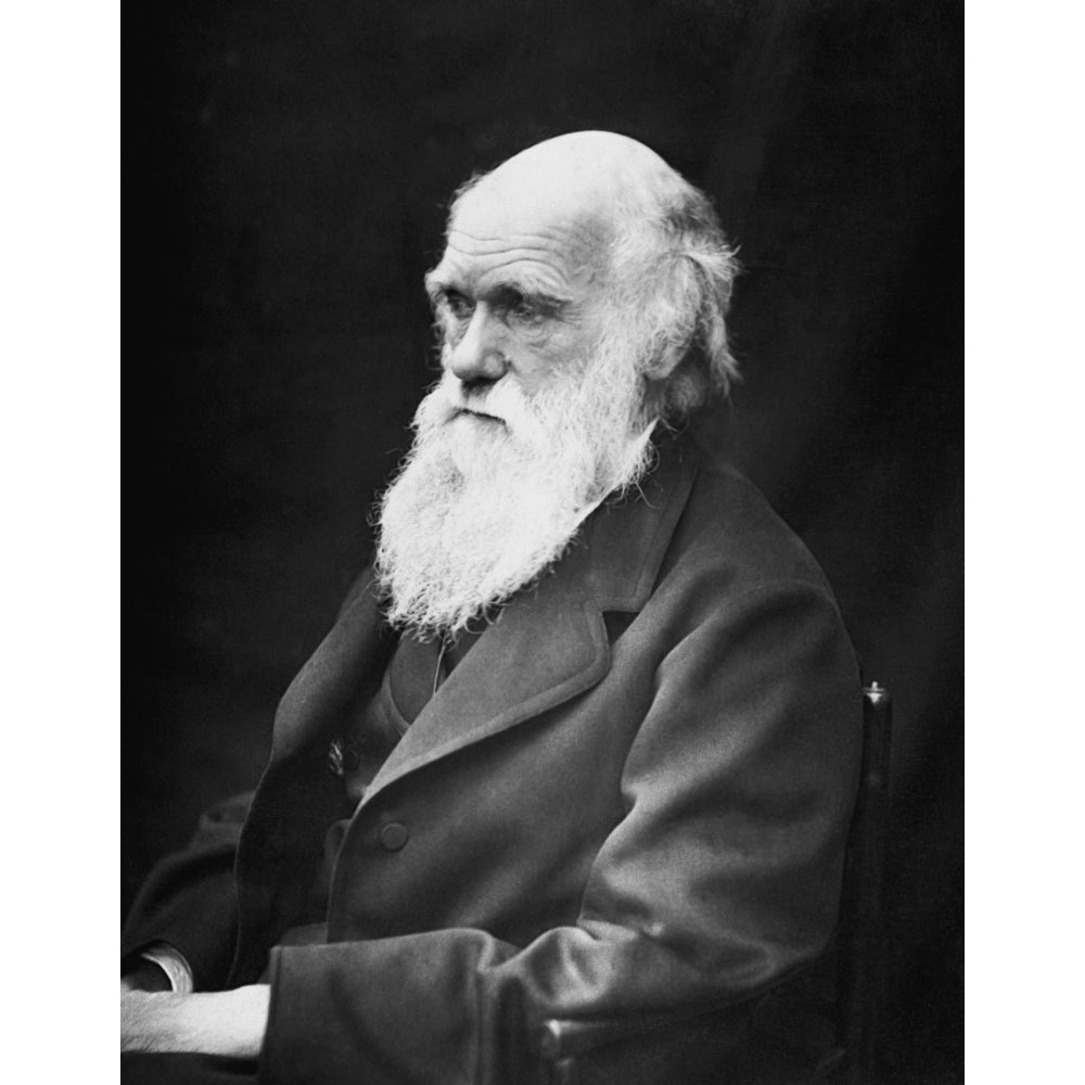 Portrait of naturalist and geologist Charles Darwin Poster Print Image 1