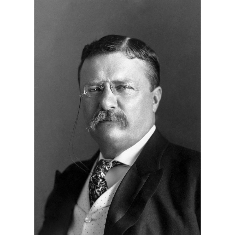 Portrait of President Theodore Roosevelt in 1904 Poster Print by John Parrot/Stocktrek Images Image 1