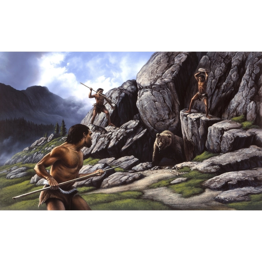 Neanderthals hunt a cave bear Poster Print Image 1