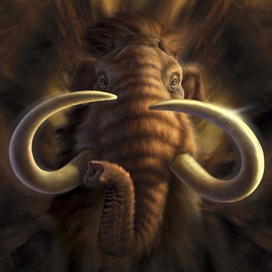 Full on view of a Woolly Mammoth Poster Print Image 1