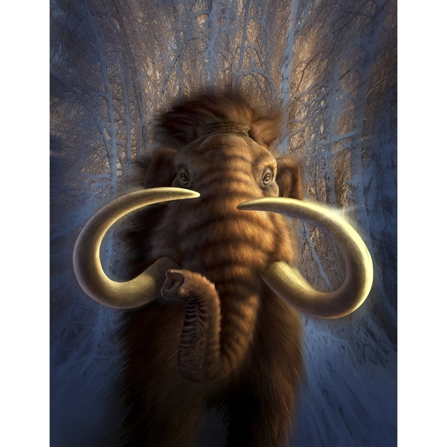 A Woolly Mammoth bursting out of a snowy wooded backdrop Poster Print Image 1