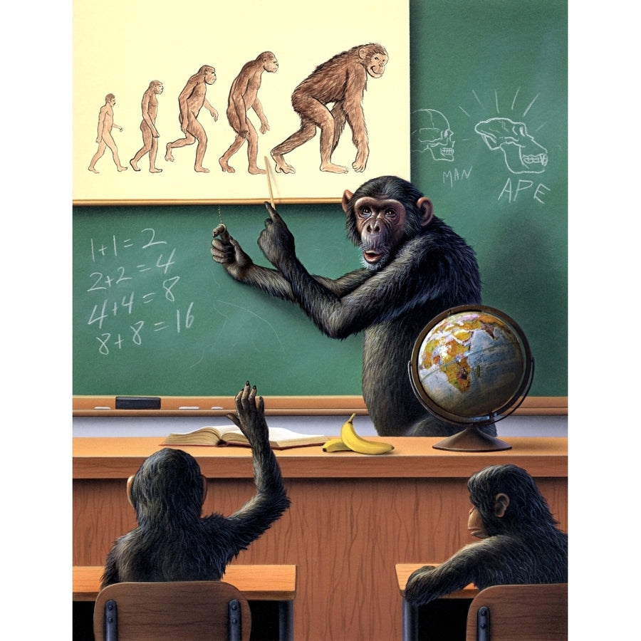 A humorous view of the reverse evolution of man Poster Print Image 1