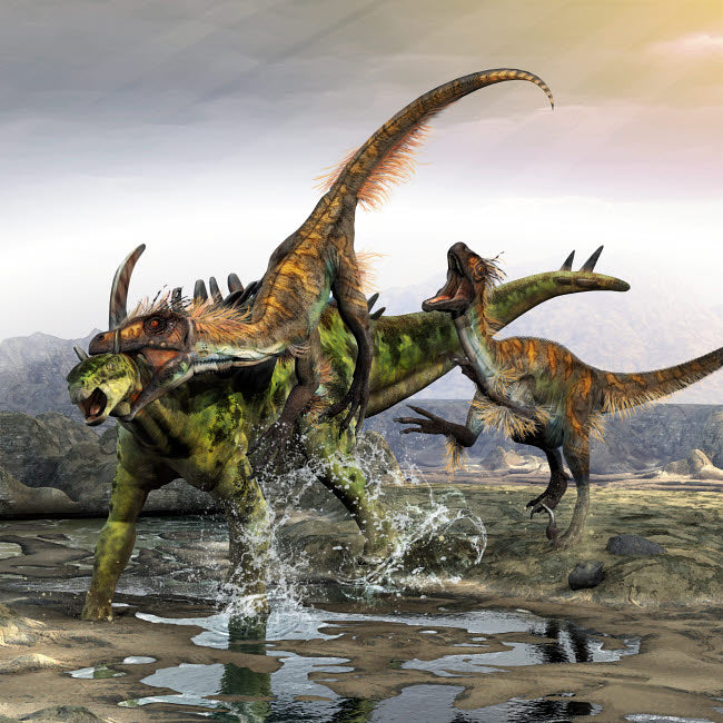 A Gigantspinosaurus is attacked by a pair of Utahraptors Poster Print by Kurt Miller/Stocktrek Images Image 1