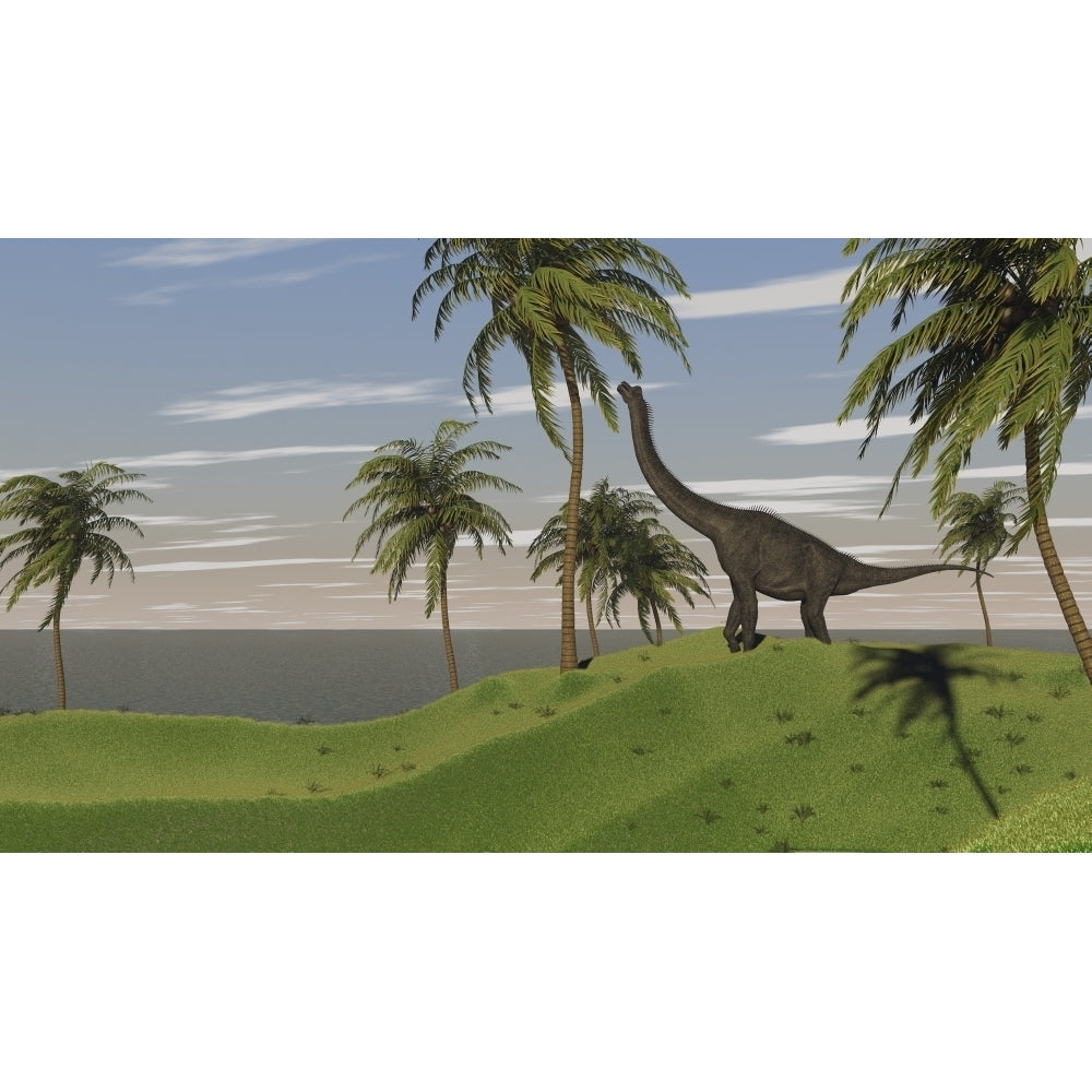 Large Brachiosaurus grazing Poster Print Image 1