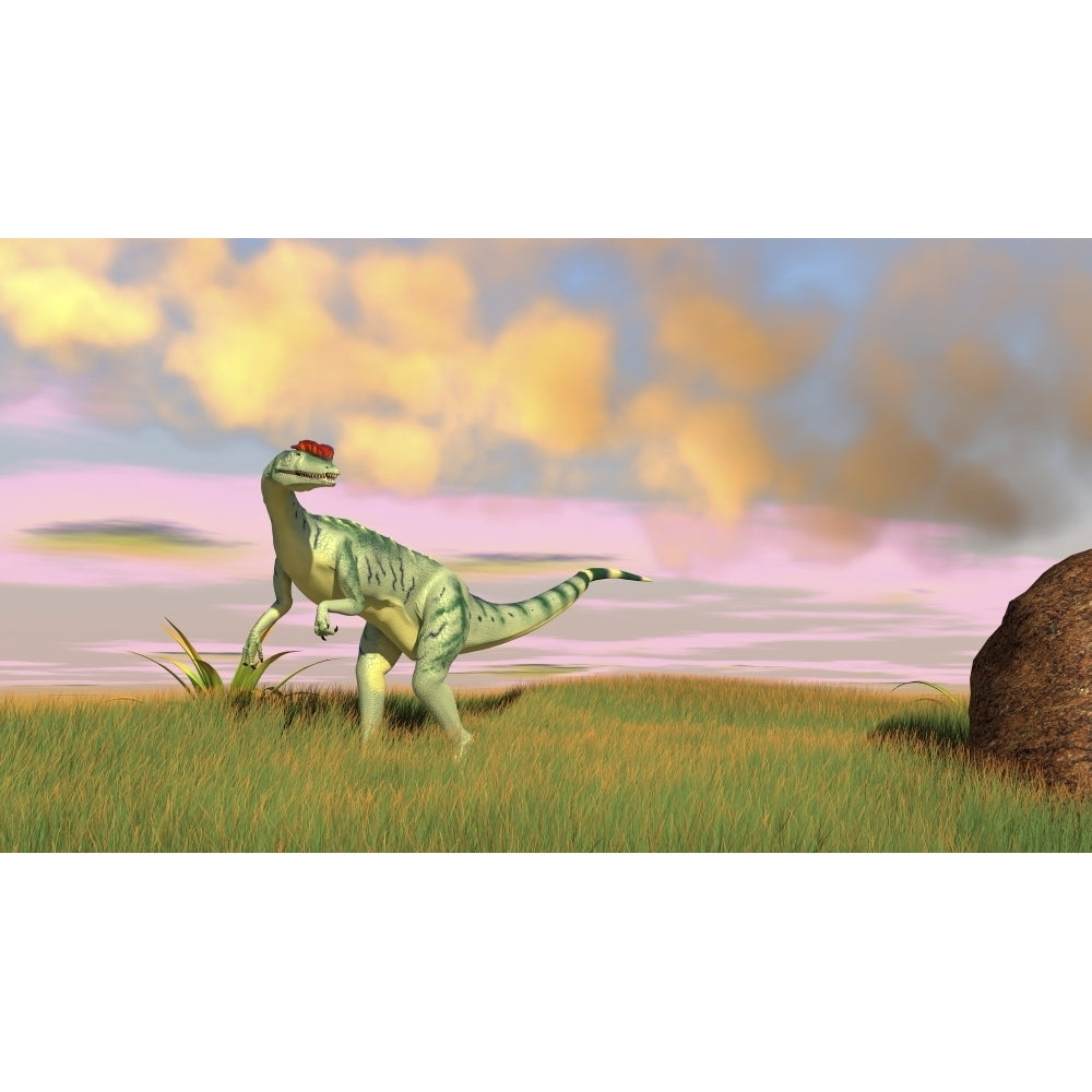 Dilophosaurus hunting in an open field Poster Print Image 2