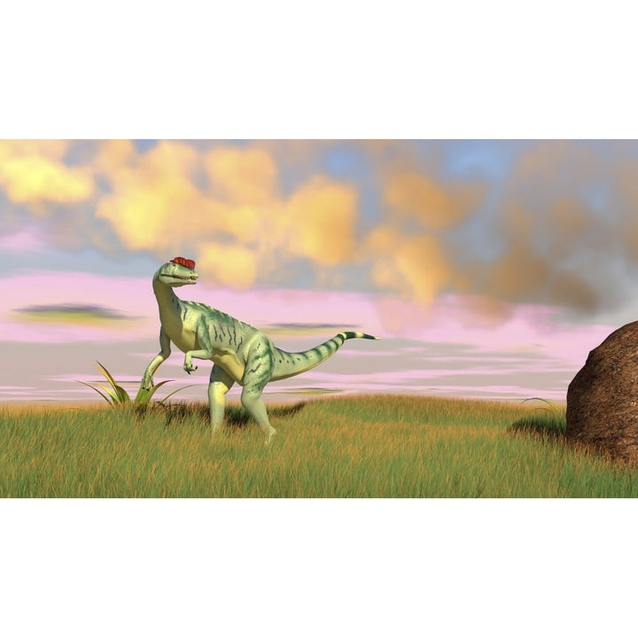 Dilophosaurus hunting in an open field Poster Print Image 1