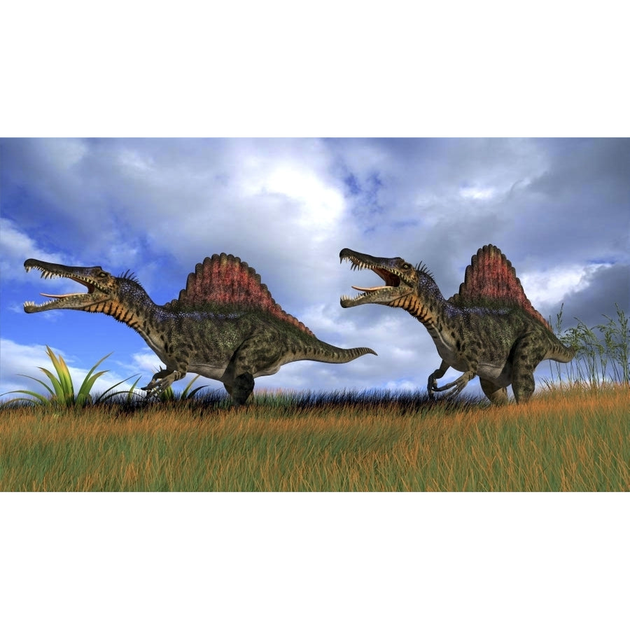 Two Spinosaurus dinosaurs hunting in prehistoric grasslands Poster Print Image 1