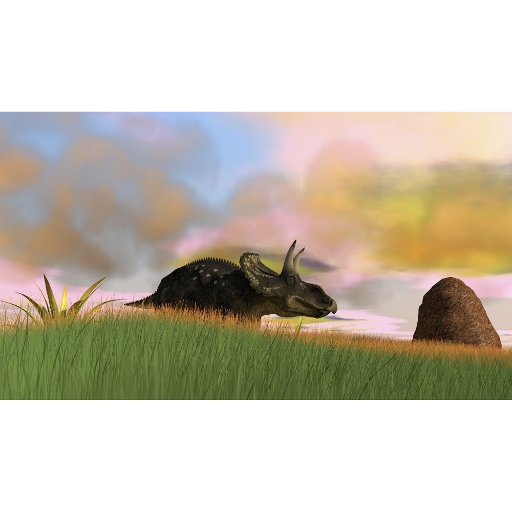 Triceratops walking across a grassy field Poster Print Image 2