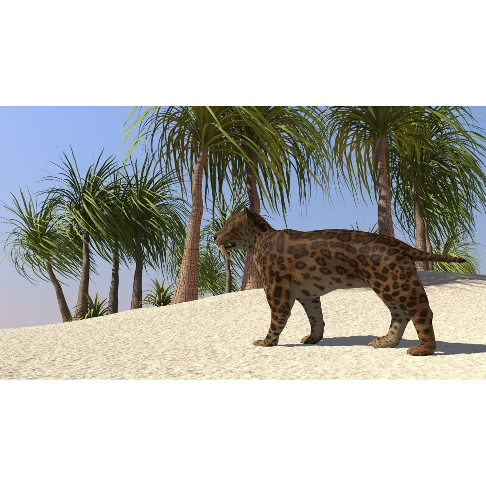 A Saber-Tooth Tiger in a tropical environment Poster Print Image 2