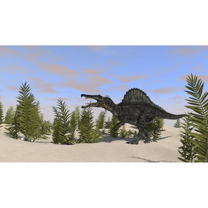 Spinosaurus hunting for its next meal Poster Print Image 2