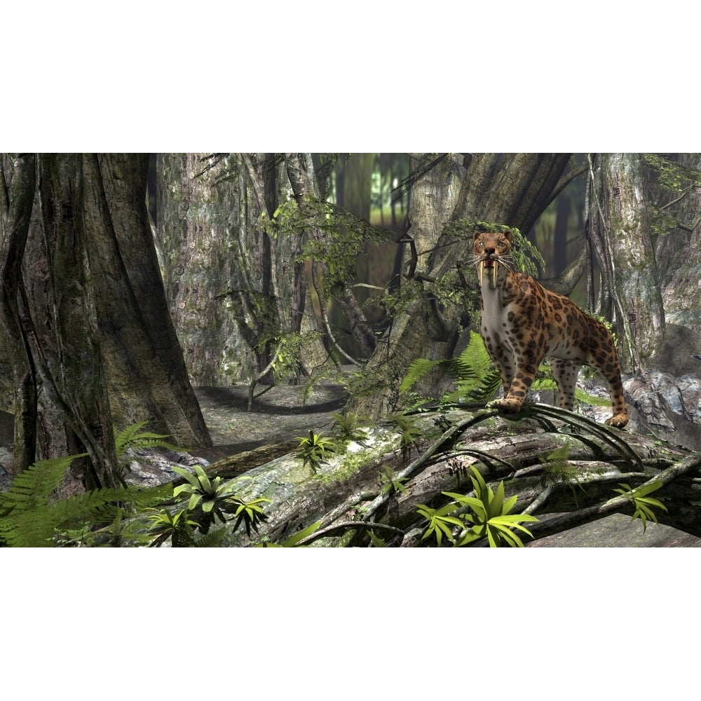 Saber-Toothed Tiger in a prehistoric forest Poster Print Image 2