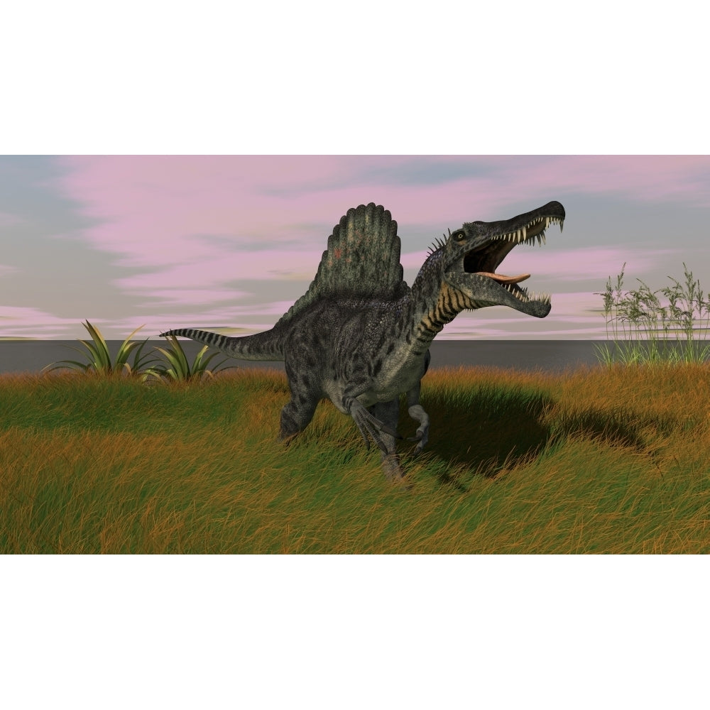 Spinosaurus walking across prehistoric grasslands Poster Print Image 1