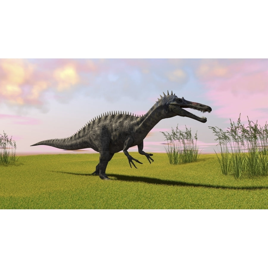 Suchomimus walking across a grassy field Poster Print Image 1