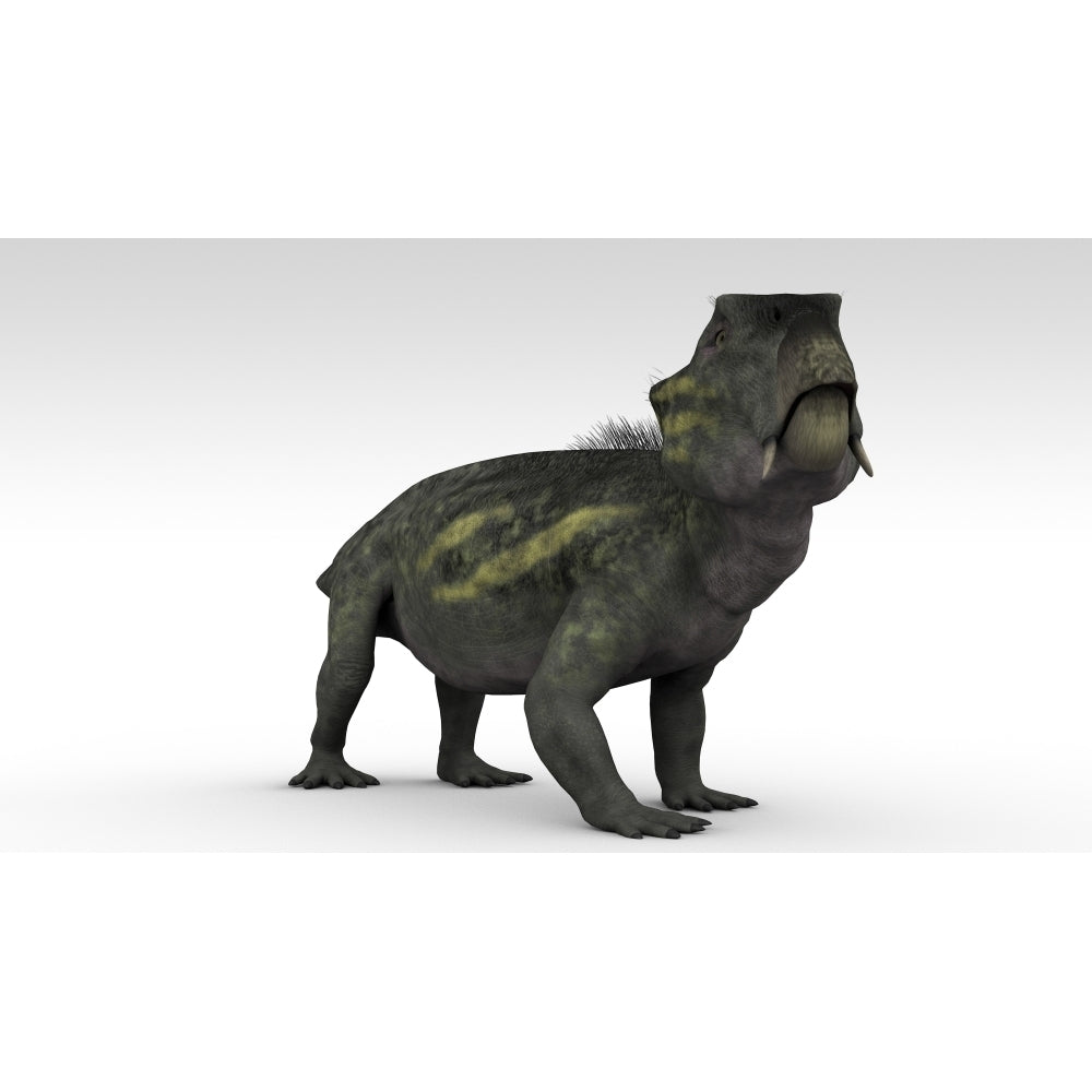 Lystrosaurus a therapsid from the Permian and Triassic period Poster Print Image 2