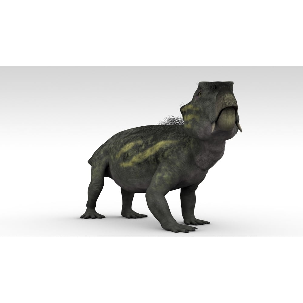 Lystrosaurus a therapsid from the Permian and Triassic period Poster Print Image 1