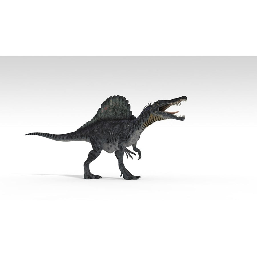 Spinosaurus dinosaur white background Poster Print Image 1