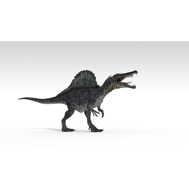 Spinosaurus dinosaur white background Poster Print Image 2