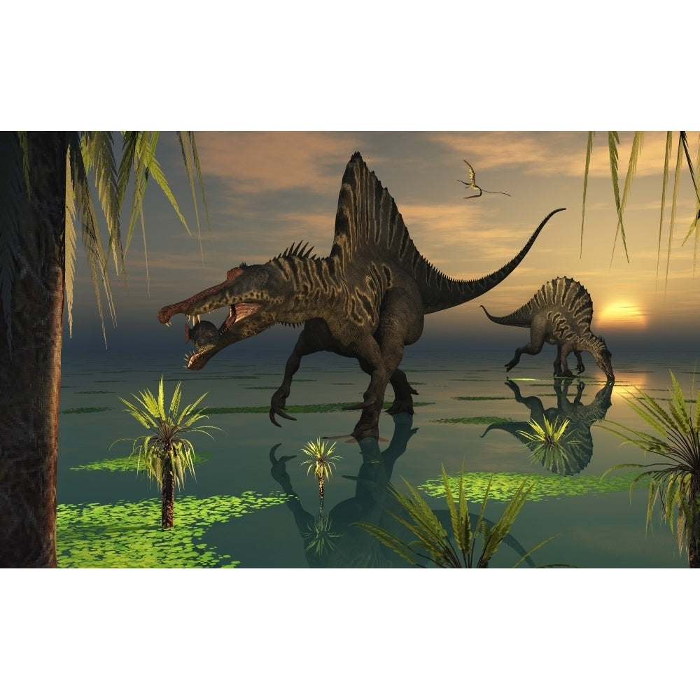 Artists concept of Spinosaurus Poster Print Image 2