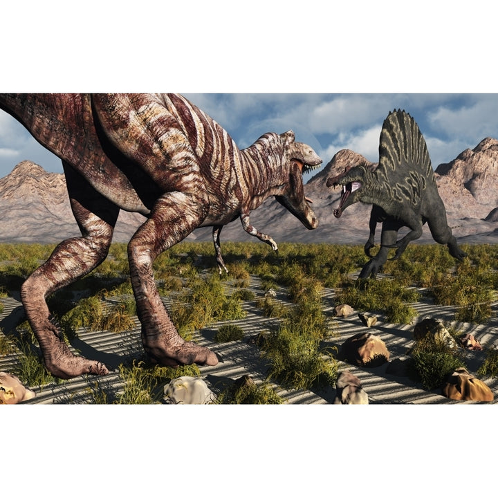 A confrontation between a T. Rex and a Spinosaurus dinosaur Poster Print Image 2