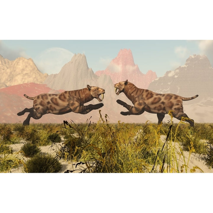 A pair of Sabre Tooth Tigers in a fight over territory Poster Print Image 1