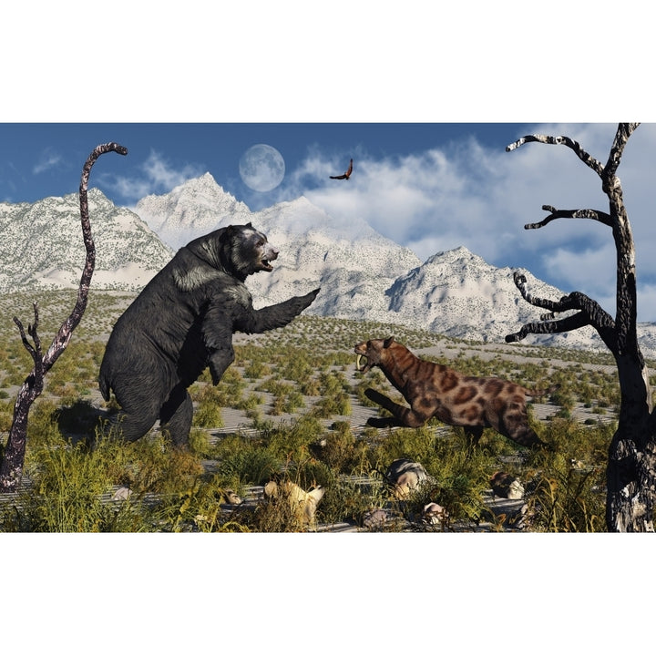 Confrontation between an Arctodus bear and a Sabre-Toothed Tiger Poster Print Image 1