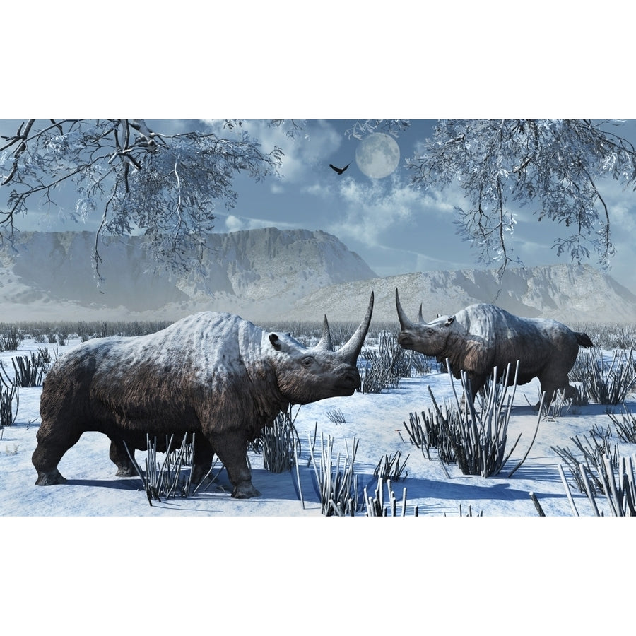 A pair of woolly rhinoceros in a severe Pleistocene winter landscape Poster Print Image 1